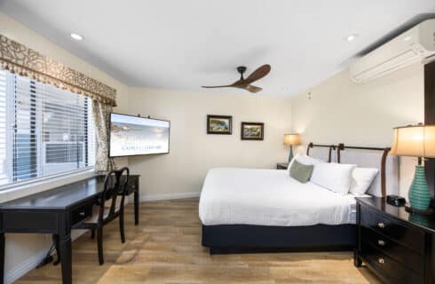queen size bed with television and desk with chair, featuring ceiling fan wood flooring and catalina art on walls