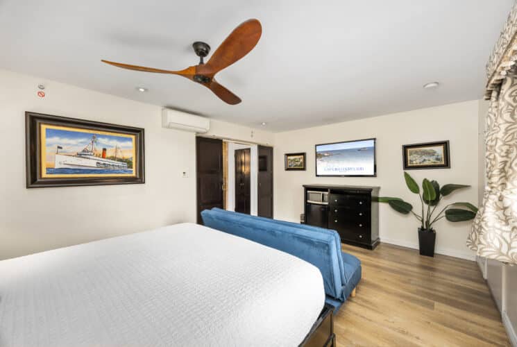 King siize bed, blue sofa sleeper, propeller ceiling fan television displaying catalina and catalina courtyard suites with black dresser , artwork on the wall and faux plant in the corner