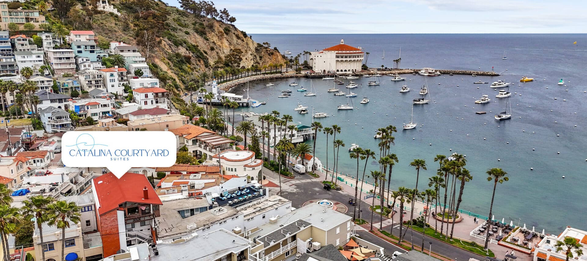 Aerial view of Avalon Bay and Catalina Courtyard Suites on Catalina Island, showing the iconic Catalina Casino, harbor filled with boats and yachts, cruise ship offshore, palm-lined shoreline, and vibrant Avalon village. Ideal Catalina Island lodging near Avalon beach, harbor, restaurants, and local attractions, offering ocean views and easy access to island activities