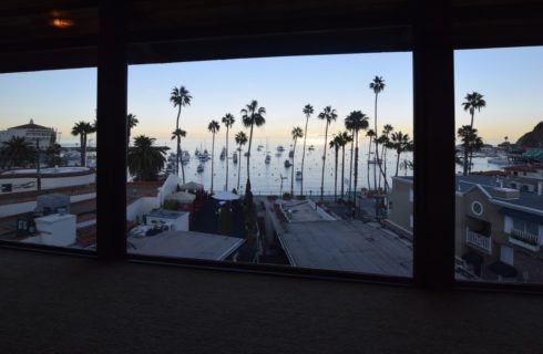 Bedroom view of palm trees, marina, ocean front, and ocean
