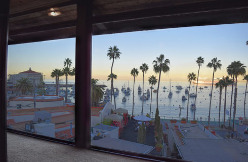 Bedroom view of palm trees, marina, ocean front, and ocean